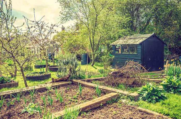 Allotment