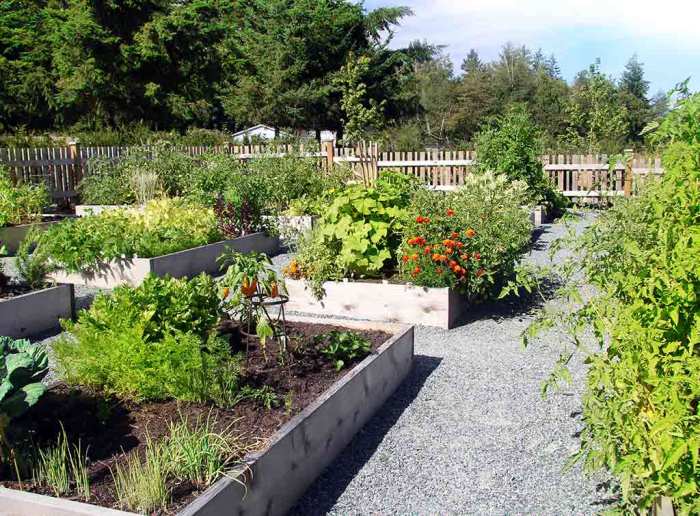 Quirky allotment ideas