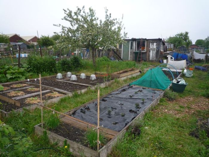 Allotment