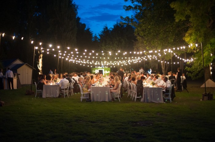 Lights outdoor festoon indoor festive fairy garden